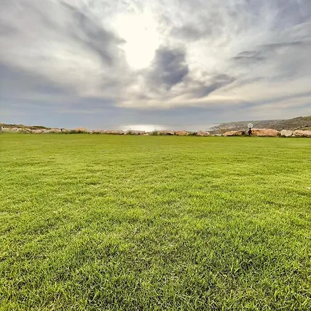 Aika Akvaryum بوزجادا