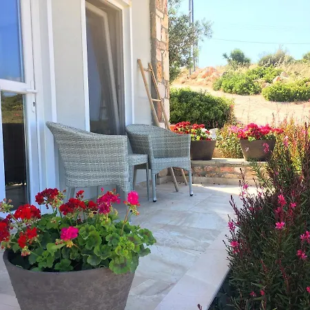 Aika Akvaryum * Tenedos