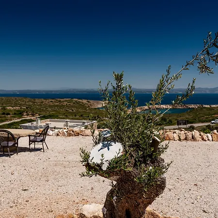 Aika Akvaryum Tenedos