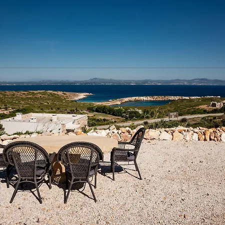 Aika Akvaryum Tenedos