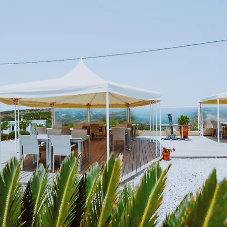 Aika Akvaryum Tenedos