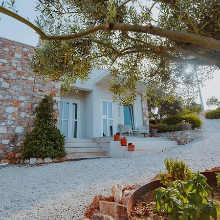 Aika Akvaryum فندق