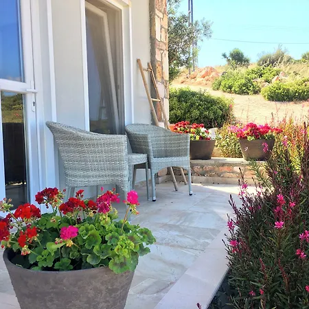 Aika Akvaryum * بوزجادا