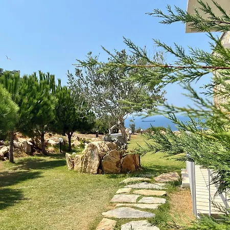 Aika Akvaryum * Tenedos