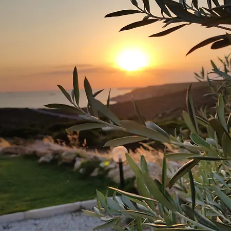 Aika Akvaryum *