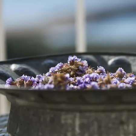 فندق Aika Akvaryum *