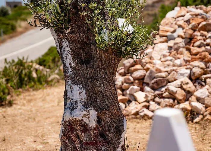 Aika Akvaryum Bozcaada