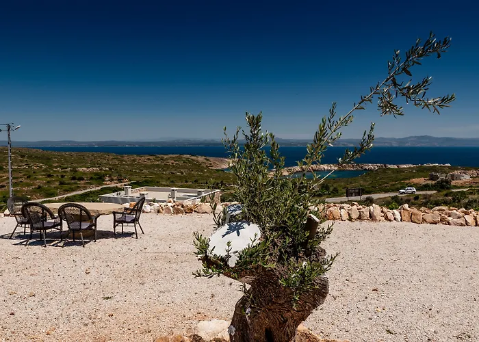 Aika Akvaryum Bozcaada