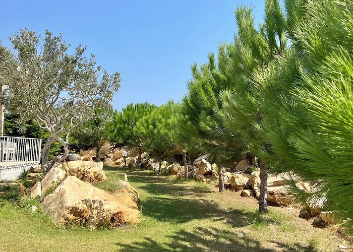 Aika Akvaryum Bozcaada