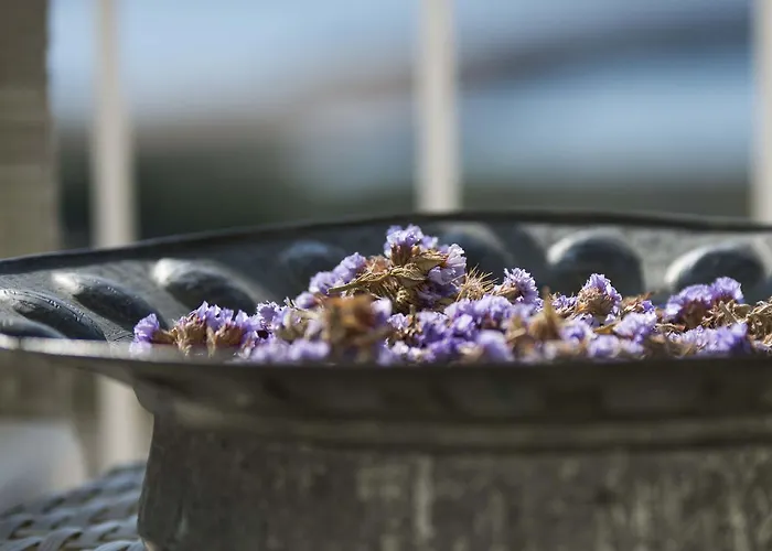 Hotel Aika Akvaryum *